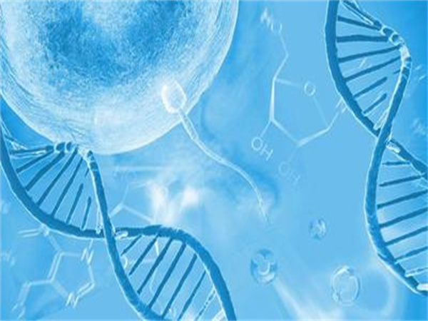 美国 vs 中国试管婴儿：周期、费用、成功率全方位对比